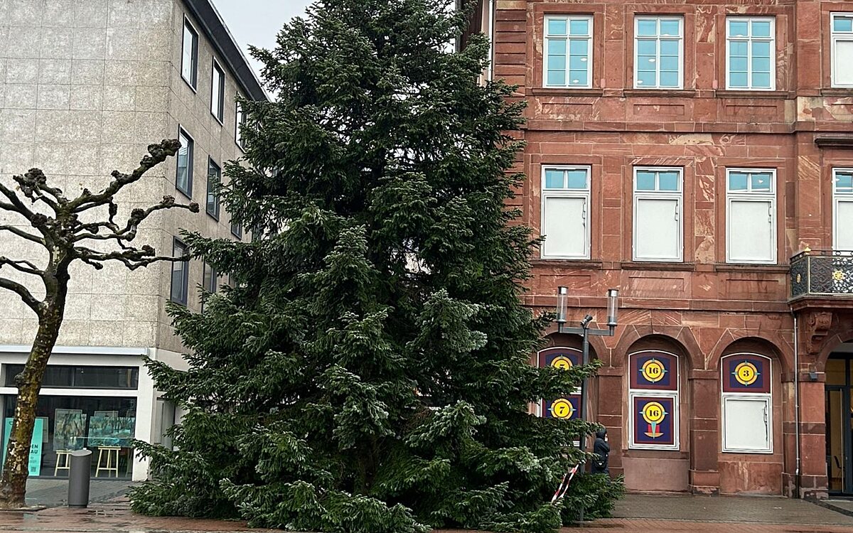 Whats App Image 2023 11 13 at 14 00 06 Whats App Image 2023 11 13 at 14 00 06