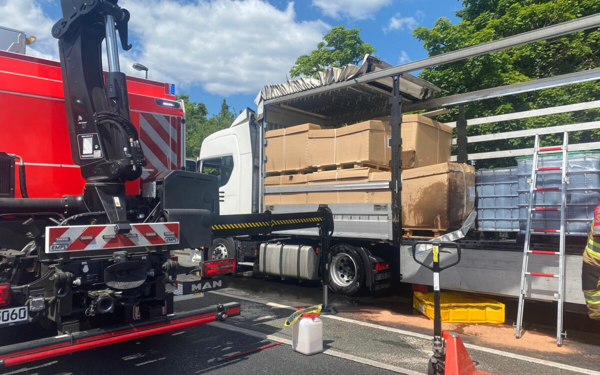 Whats App Image 2025 05 08 at 14 00 40 Whats App Image 2025 05 08 at 14 00 40