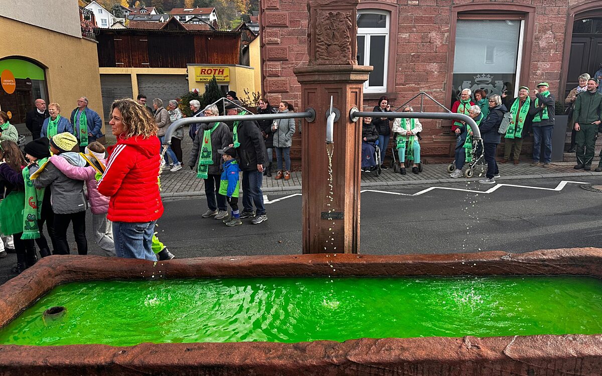 Whats App Image 2025 11 11 at 16 40 53