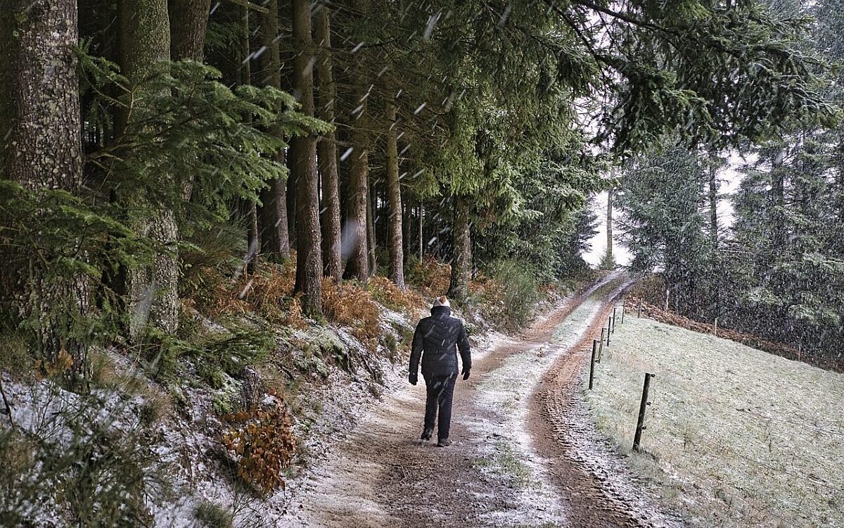 Winter Wald Spessart Winter Wald Spessart
