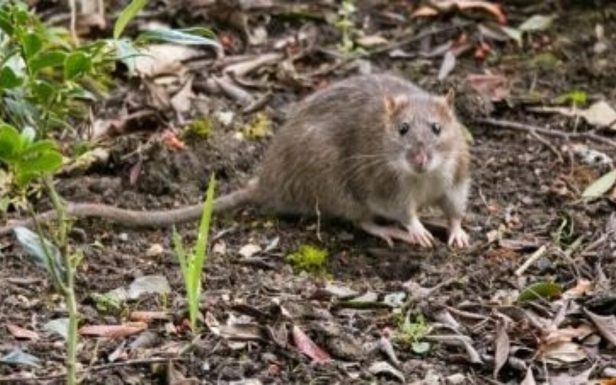 Admin ajax 2 Admin ajax 2