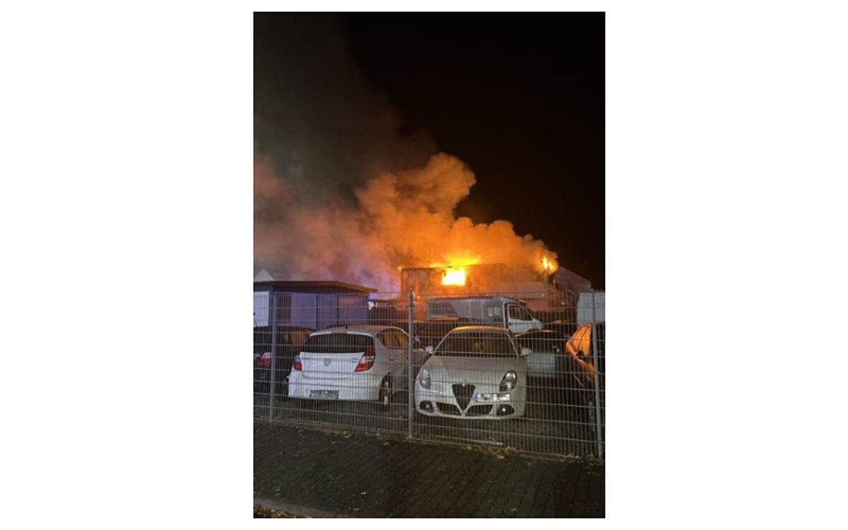 Brand hanau welpen