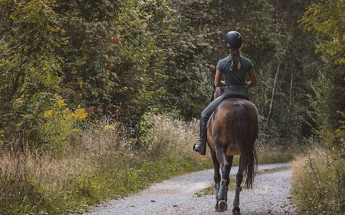 Horse riding g0d4905b97 1280 Horse riding g0d4905b97 1280