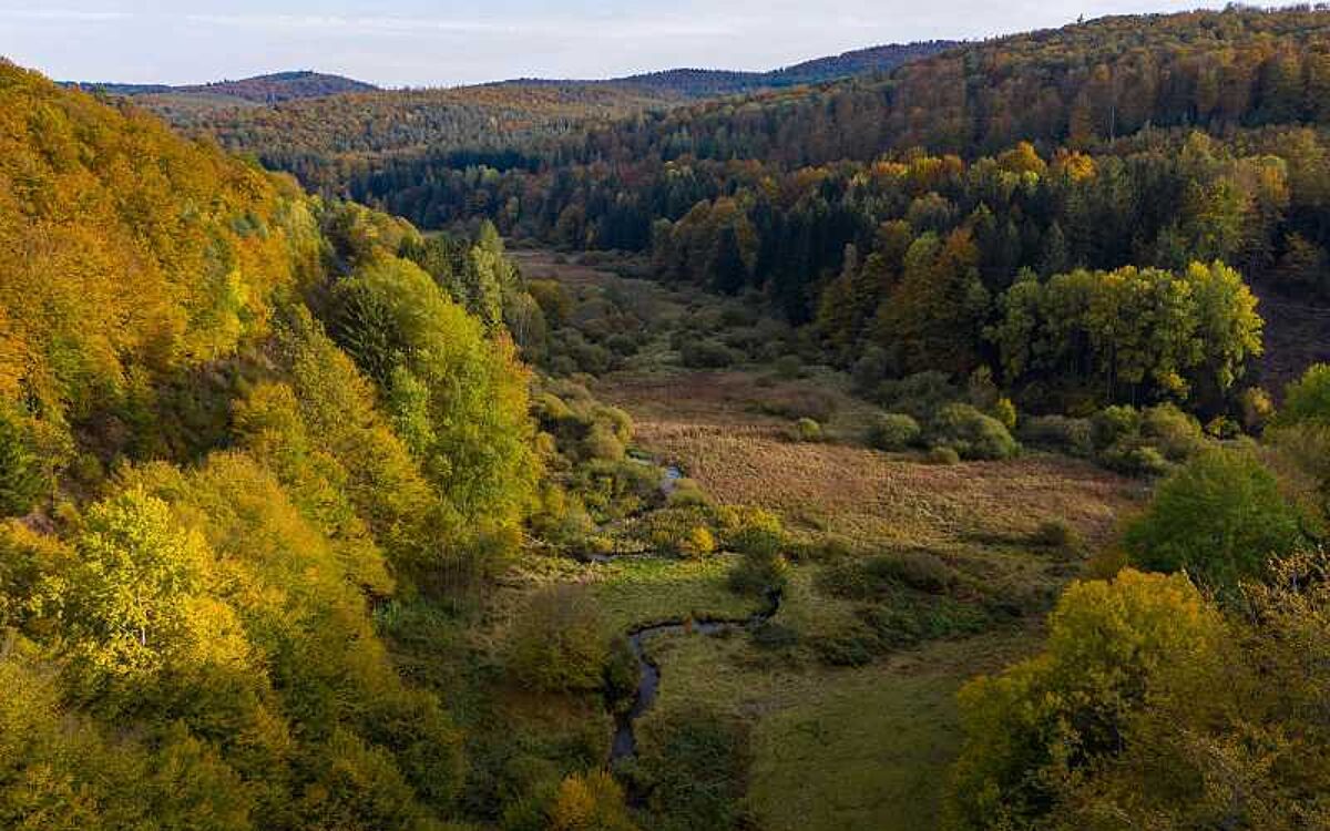 K 251023 Rothenbuch Spessart Hafenlohrtal K 251023 Rothenbuch Spessart Hafenlohrtal