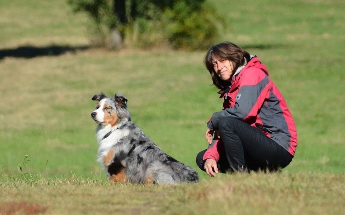 K KW14 Hund1 K KW14 Hund1