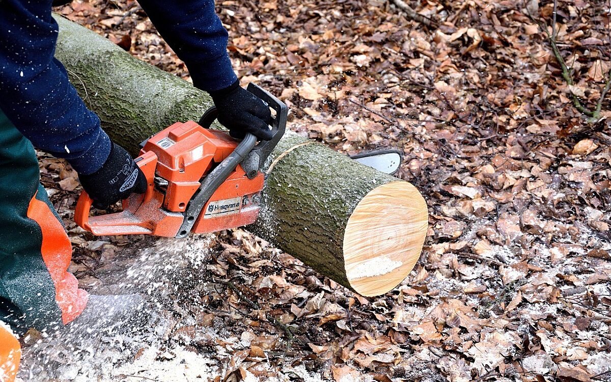 Lumberjack 2146509 1280 Lumberjack 2146509 1280