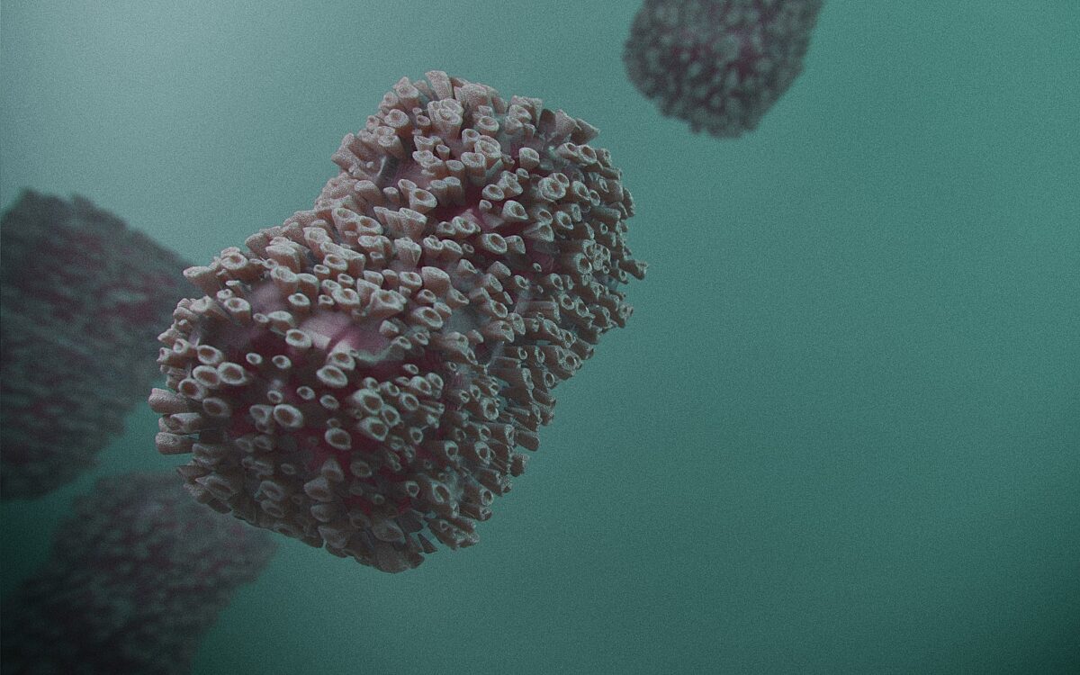 Monkeypox ge8e0a0bca 1920 Monkeypox ge8e0a0bca 1920