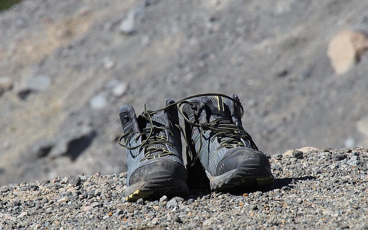 New zealand 2373102 1280