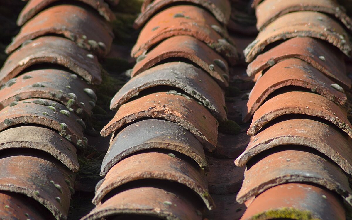 Roof 3764884 1280 Roof 3764884 1280