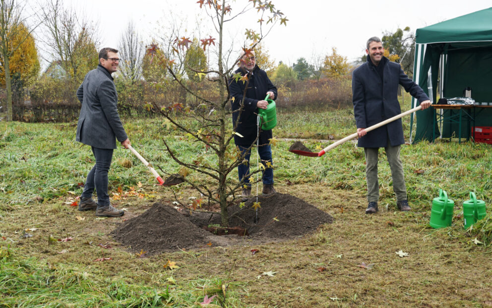 241121 Spatenstich zur Landkreis Versuchs und Sichtungsgartenanlage in Moembris 241121 Spatenstich zur Landkreis Versuchs und Sichtungsgartenanlage in Moembris