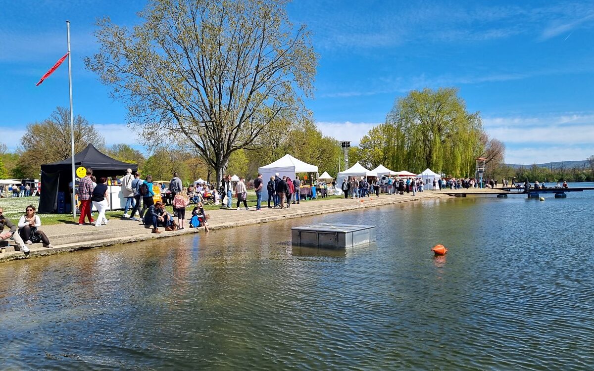 Grosskrotzenburg 231