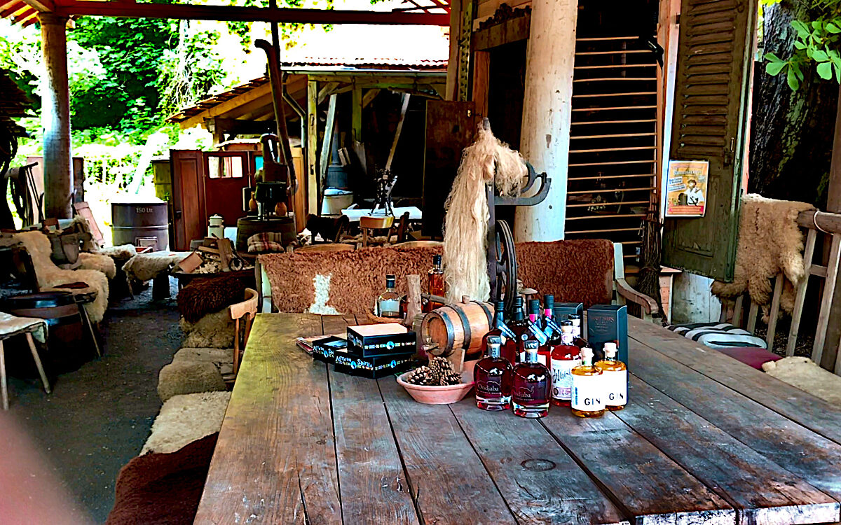 IMG 9282 MOV snapshot 00 01 033