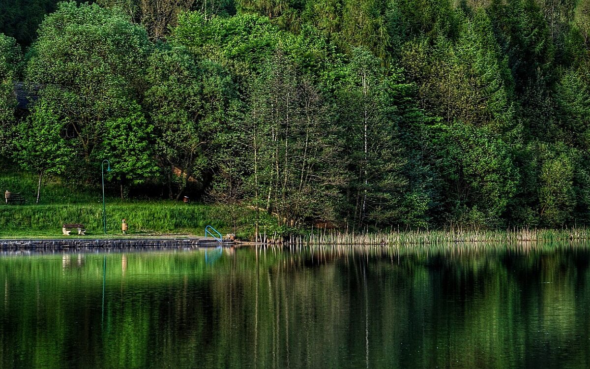 Naturerlebnisbad Schoellkrippen Veranstaltungen