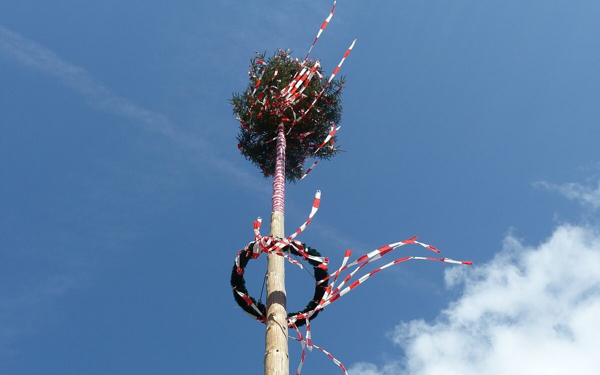 Symbolbild Maibaum