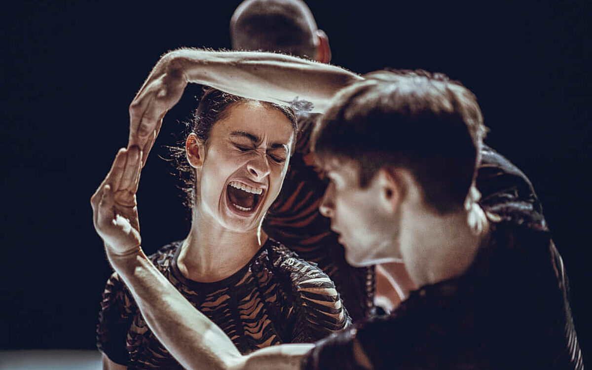 THE BIG CRYING Rahi Rezvani online 3