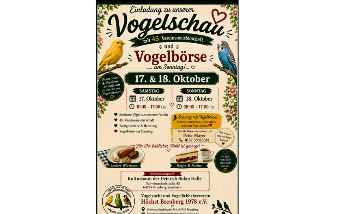 Vogelschau Breuberg
