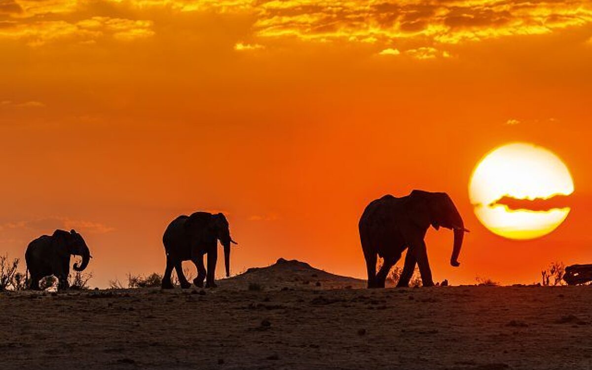 K Suedafrika Plakatmotiv quer 1