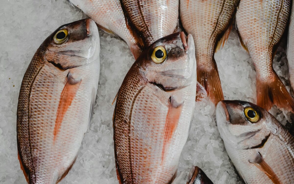 Pexels eva bronzini 6149146